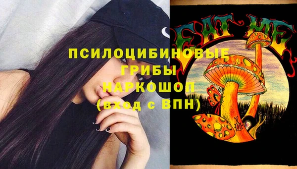 МДПВ Володарск